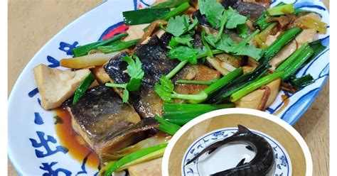 鱘龍魚可以混養嗎|鱘龍魚怎麼飼養？吃什麼？在家養的!可以和雀鱔一起養嗎？